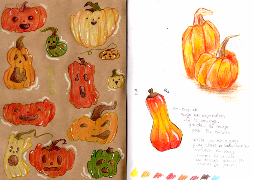 Charlotte Villepreux's Illustration