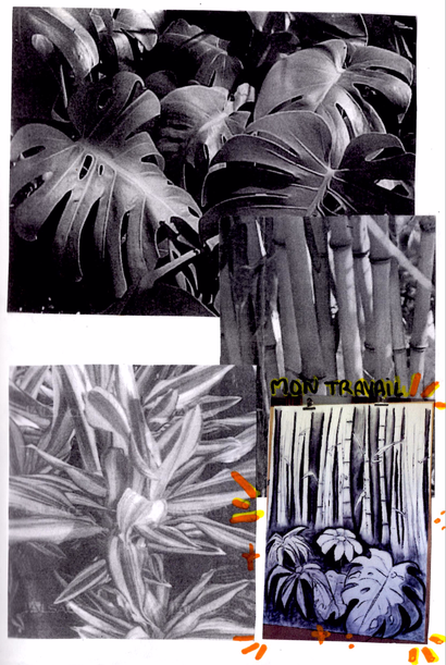 Charlotte Villepreux's Illustration