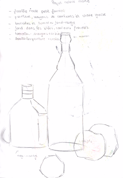 Charlotte Villepreux's Illustration